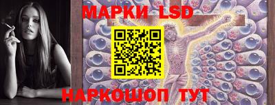 гидропоника Донской