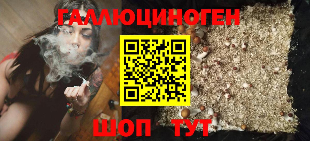 купить наркоту  Вход с VPN  Майский  Псилоцибиновые грибы Psilocybe 
