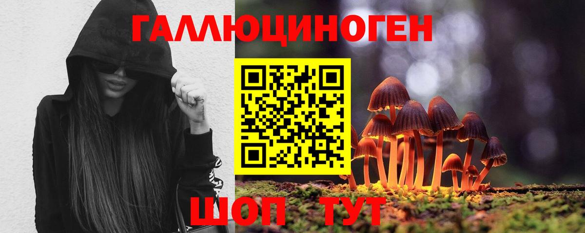 Галлюциногенные грибы Cubensis Майский